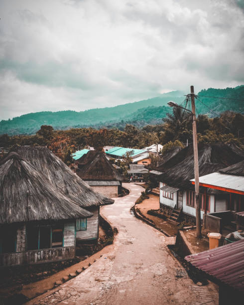 istock Palm Fiber House 1297715370
