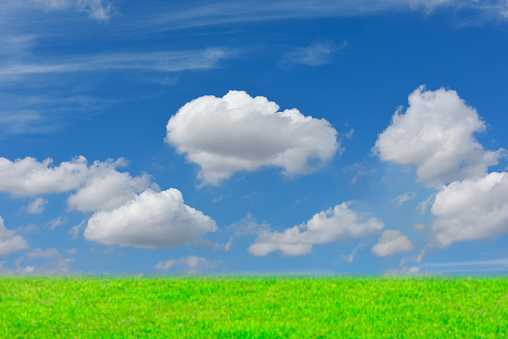 Meadow over blue sky with copy space.