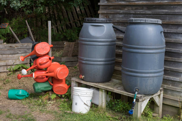 istock Watering cans and watter barrels in community garden. 1297719061