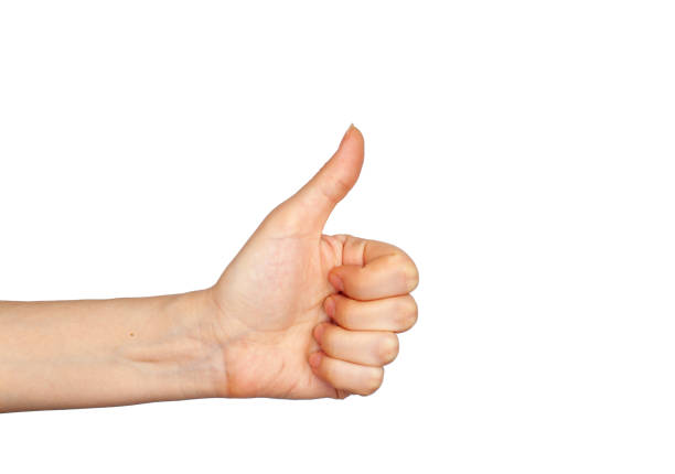 istock Hand gesture - thumbs up, isolated on a white background. 1297719824