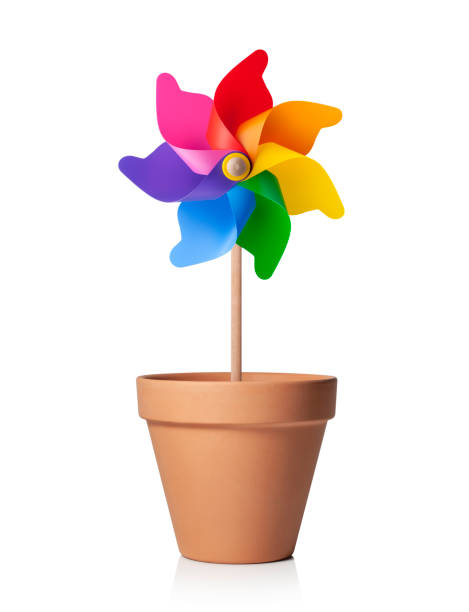 Pinwheel in the garden pot