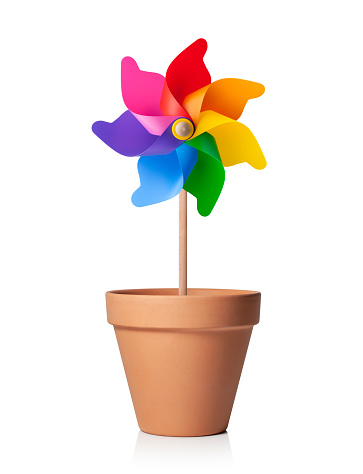 Rainbow colored pinwheel in the garden pot isolate on white background.