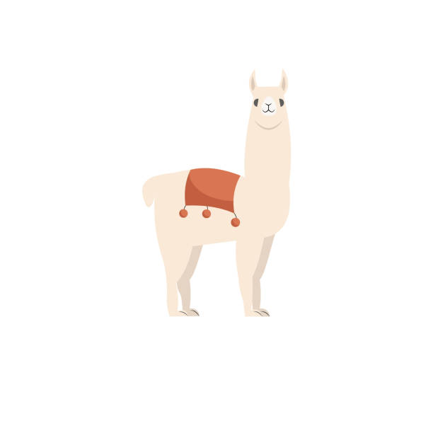 Called Beige cute smiling llama with saddle for transportation and decoration llama stock illustrations