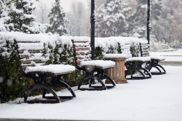 istock snow-covered benches in the park. first snow. early winter 1297725720