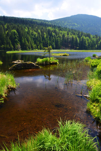 istock Kleiner Arbersee lake,Bavarian forest,Germany. 1297731292
