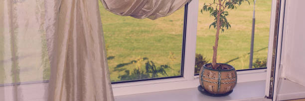 istock Flowerpot with house plant stand on window sill with open frame 1297732435