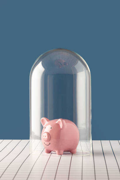 istock Piggy bank inside a bell jar 1297732476