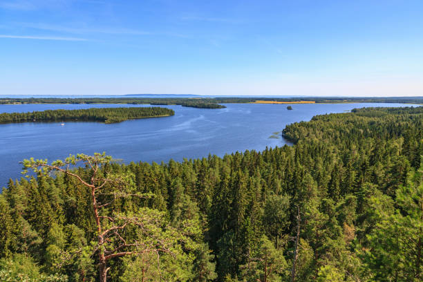 istock Coniferous forest with a view of a beautiful lake 1297733425