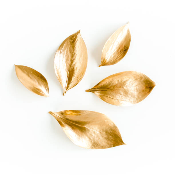 padrão, textura com folhas douradas isoladas no fundo branco. flat lay, vista superior - gold leaf - fotografias e filmes do acervo