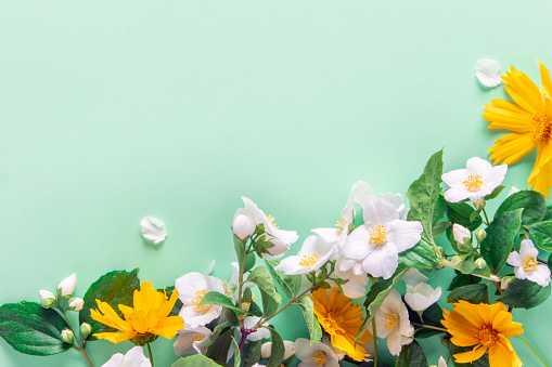 Spring flower arrangement on a green background.