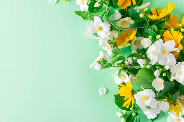 istock White and yellow spring flowers on a green background with copy space. 1297738637