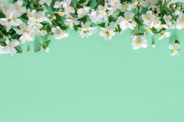 istock Floral frame. Spring flowers on a green background, copy space. 1297738773