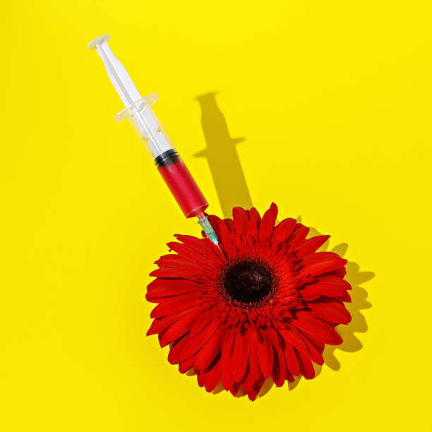 istock Creative layout made with syringe and red gerbera flower on yellow background 1297741627