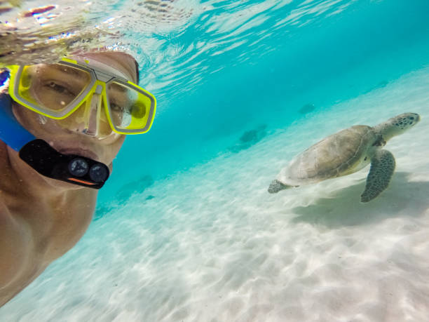 Selfie of mature men with turtle underwater