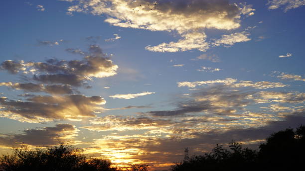 istock Golden hour with fire clouds. Beautiful sunset with trees and tranquility peace in environment. 1297744641