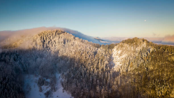 istock Suche Mountains in winter, Poland 1297751565
