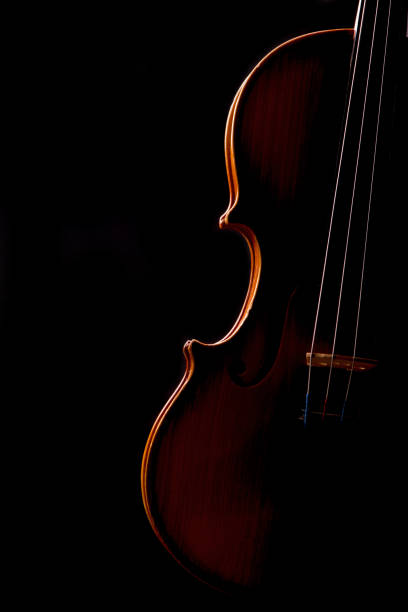 istock Violin music instrument closeup isolated on black 1297752777