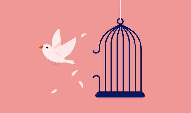 White bird break out of cage A symbol for freedom and breaking free from captivity. Vector illustration. birdcage stock illustrations