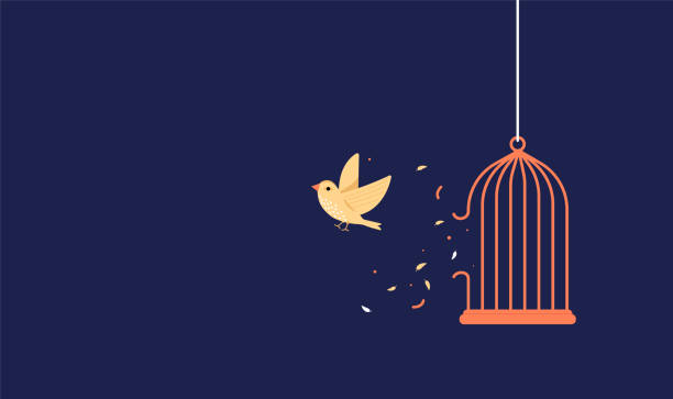 özgürlük kazanmak için kafesten çıkan kuş - delik illüstrasyonlar stock illustrations