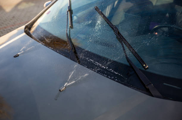 istock Close up of a car windshield washers 1297754440