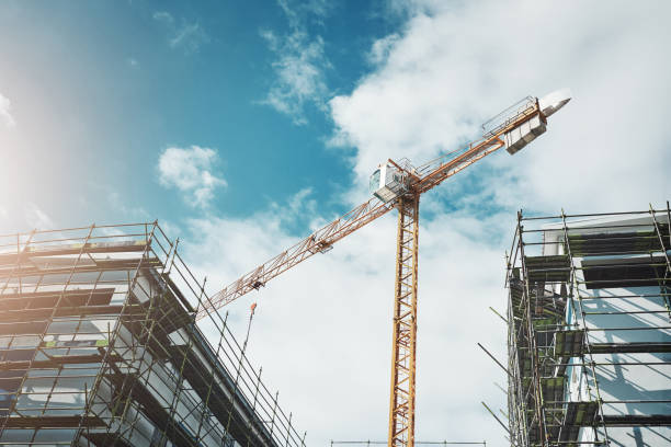 istock Is it a bird? Is it a plane? No, it's a crane 1297754528