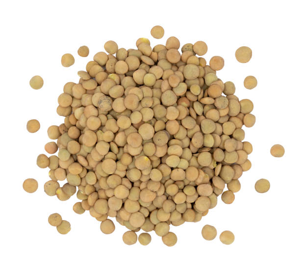istock Pile lentil isolated on white background. Top view. 1297756522