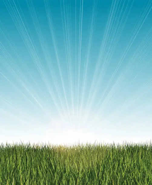 Vector illustration of Long grass banner with blue sky, lens flares and light beams