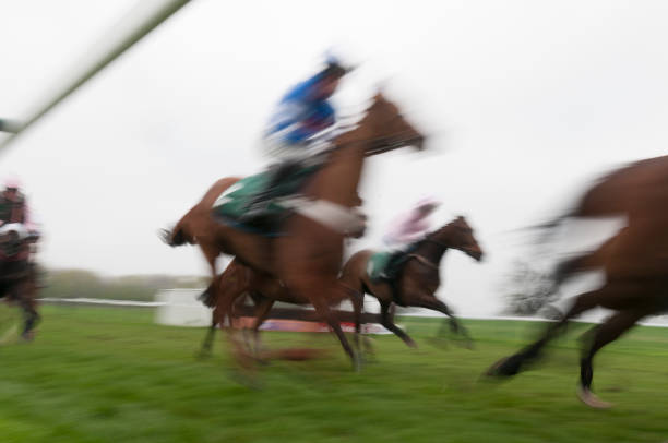 Polo with motion blur