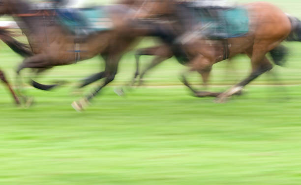 istock Horse Racing on Grass, Motion Blur with Copy Space 1297761593