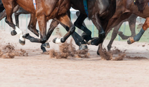 istock Horse Racing on Track with Copy Space 1297761600