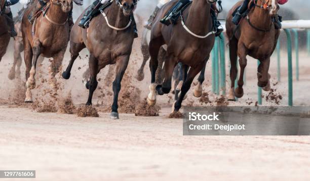 Horse Racing On Track With Copy Space Stock Photo - Download Image Now - Horse Racing, Racehorse, Thoroughbred Horse