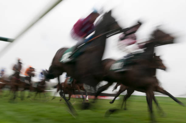 istock Horse Racing on Grass, Motion Blur, Low Angel View 1297761623