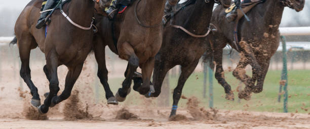 istock Horse Racing on Track 1297761647