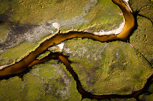 An aerial view of a channel in Botswana’s Okavango Delta.