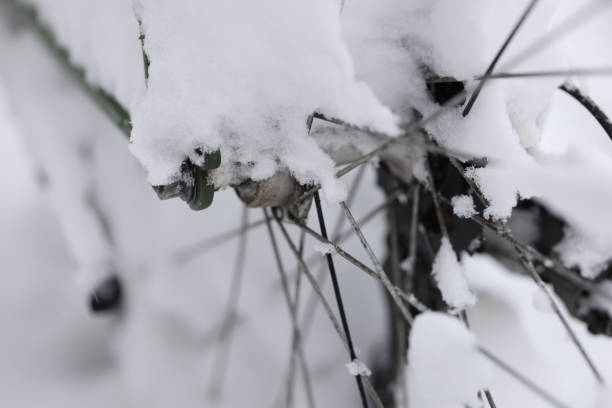 Bicycle wheel covered with snow in winter closeup. Bike storage parking concept