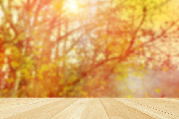 Empty top wooden table on colorful tree in autumn