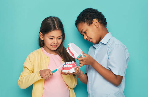 Multiethnic kids show how to brush teeth properly and oral hygiene. Two children hold a toothbrush and jaw model on turquoise background Smiling multiethnic kids show how to brush teeth properly and oral hygiene. Two children hold a toothbrush and jaw model on turquoise background brushing teeth stock pictures, royalty-free photos & images