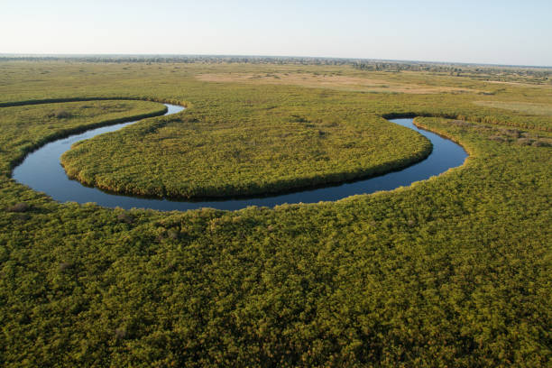istock Nqoga Channel - Okavango Delta 1297764070
