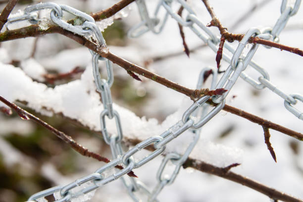 istock Metal chain hanging on a bush branch in winter 1297771783