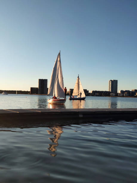 velero en el fiordo listo para una carrera al atardecer - sailing ship industrial ship horizon shipping fotografías e imágenes de stock