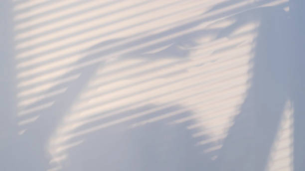 istock shadows on the wall from a window closed with blinds and a woman's silhouette. Blurry dark shadows moving on the wall 1297777366