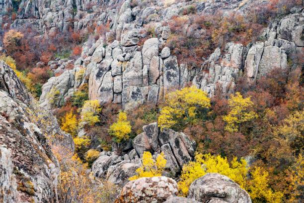 istock Aktovsky Canyon in Ukraine surrounded large stone boulders 1297779080