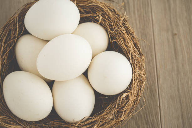 istock A rustic nest full of whtite big eggs 1297779093