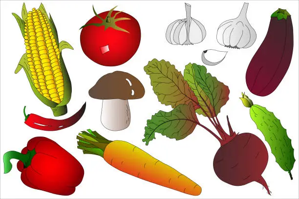 Vector illustration of A sketch on the theme of vegetables. Background from vegetables. For design. Vector