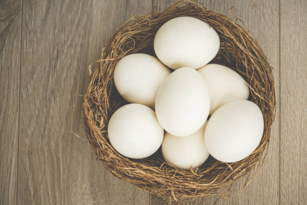 istock Flat lay of eggs on nest 1297779674