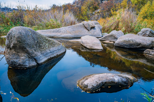 A fast, shallow, clean stream runs among smooth wet large stones surrounded by tall dry lumps that are swaying in the wind in picturesque Ukraine