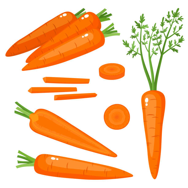 Bright vector set of fresh carrots isolated on white. Bright vector set of colorful half, slice and whole of carrot. Fresh cartoon vegetable isolated on white background. Illustration used for magazine, book, poster, card, menu cover, web pages. carrot stock illustrations