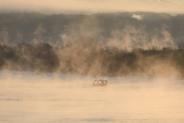 dreamy view of the foggy riverside in Korea on the morning of winter
