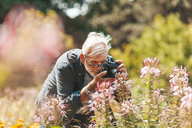 dziadek robi zdjęcia kwiatów na zewnątrz w słoneczną pogodę - adult hobbies horizontal photography zdjęcia i obrazy z banku zdjęć