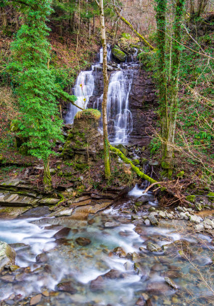 istock Waterfall of a small stream towards the river 1297782947